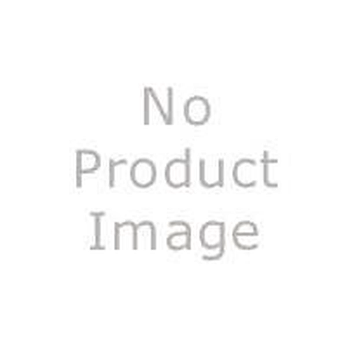 Door Chains Brs