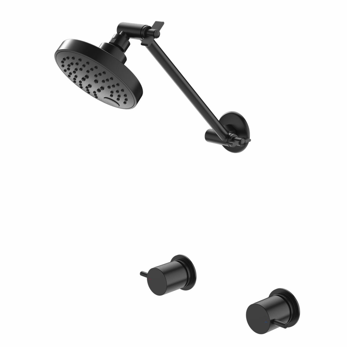 Caroma Luna Lever Shower Set Black
