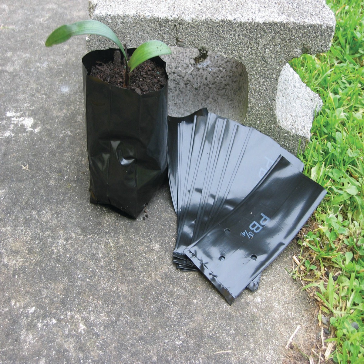 (x100) Planter Bags - PB 3